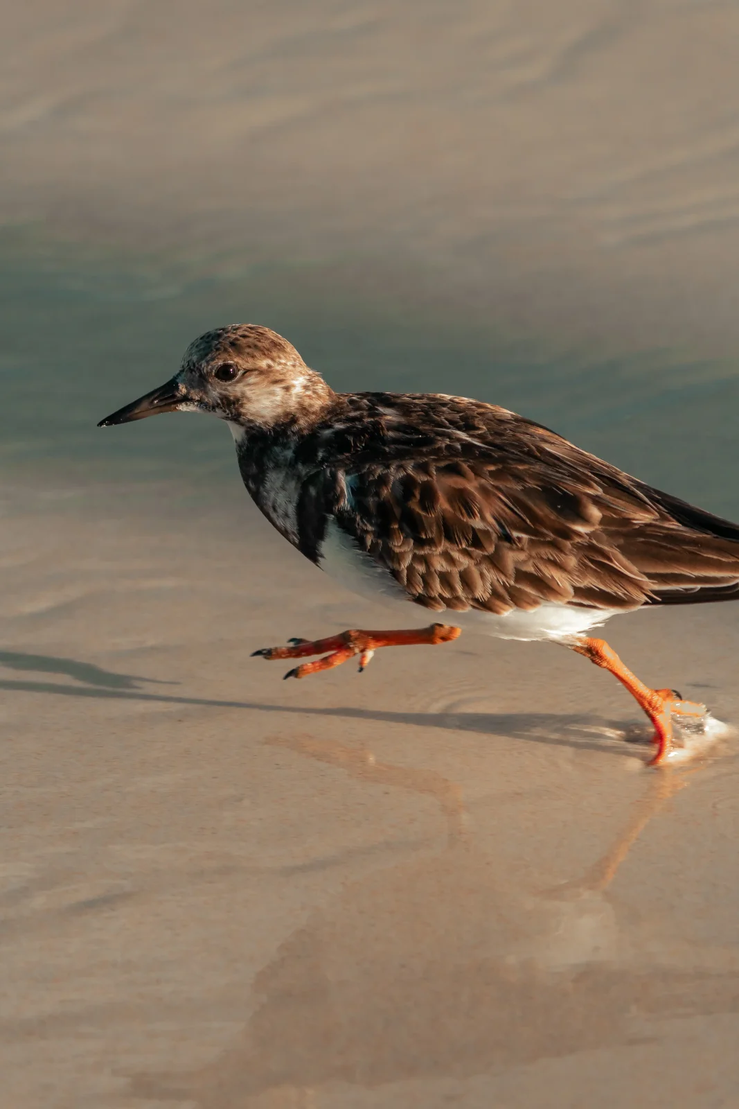 nature photography by JRMGraphy